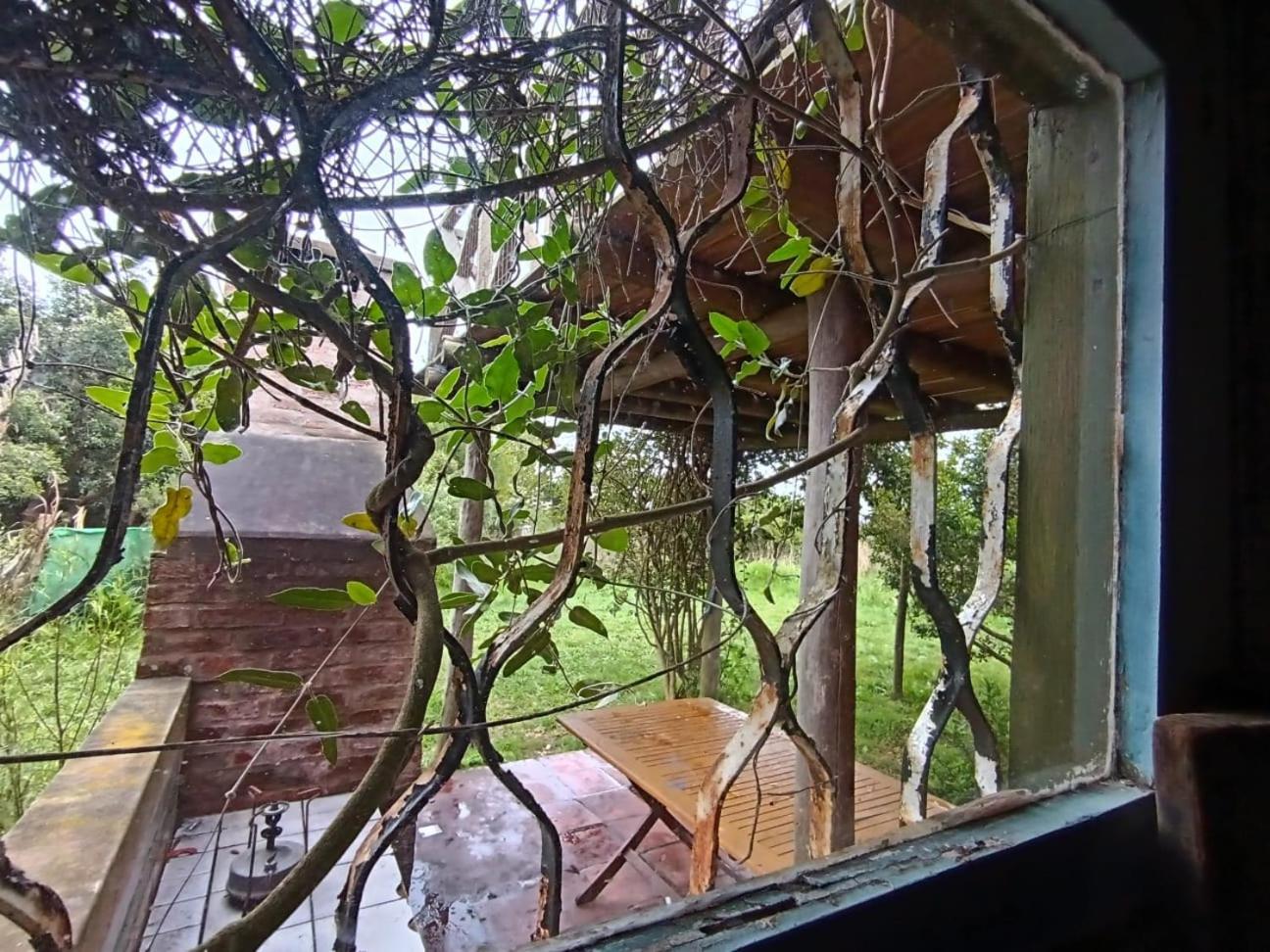 Casas Punta Negra Villa Piriápolis Kültér fotó
