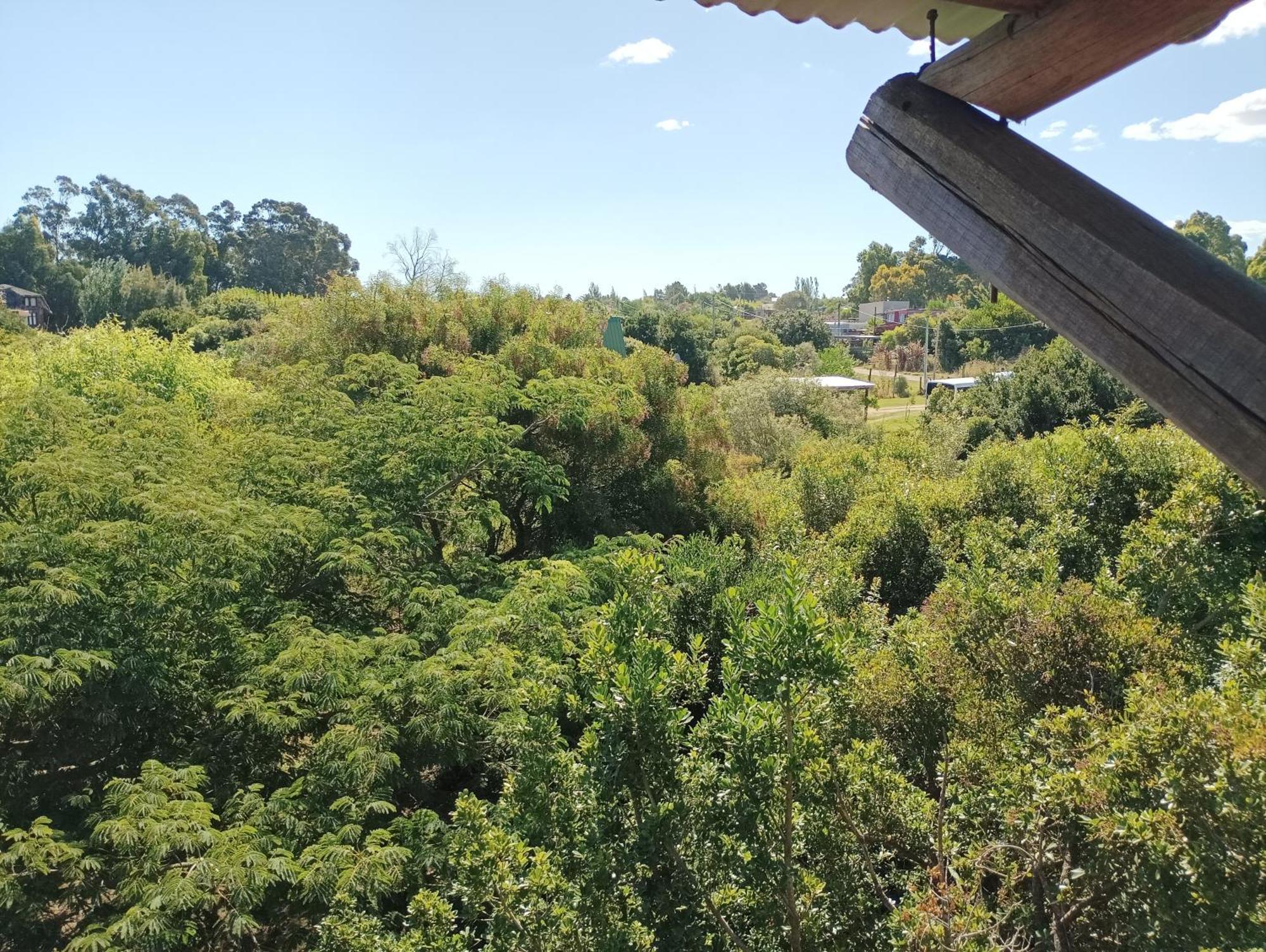 Casas Punta Negra Villa Piriápolis Kültér fotó